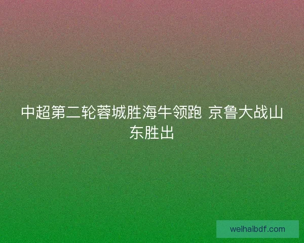 中超第二轮蓉城胜海牛领跑 京鲁大战山东胜出