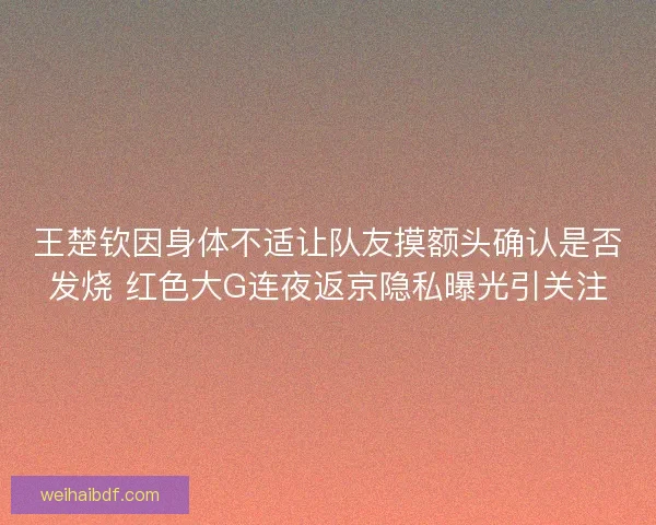 王楚钦因身体不适让队友摸额头确认是否发烧 红色大G连夜返京隐私曝光引关注