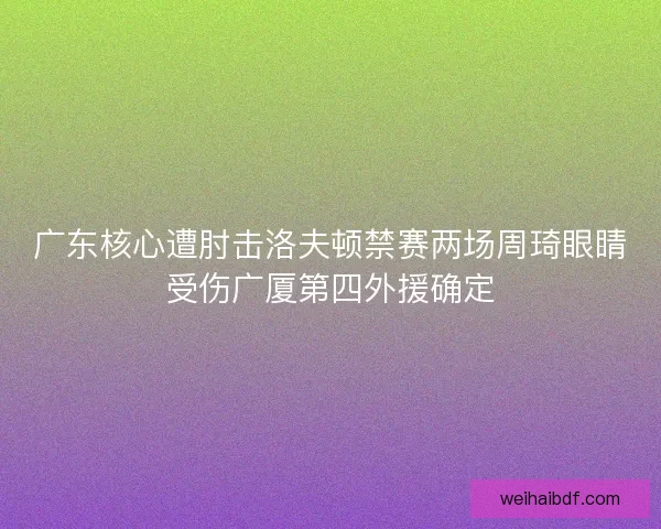 广东核心遭肘击洛夫顿禁赛两场周琦眼睛受伤广厦第四外援确定