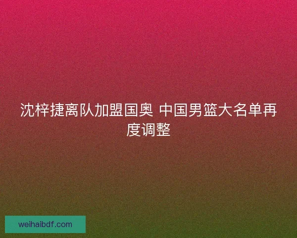 沈梓捷离队加盟国奥 中国男篮大名单再度调整